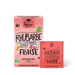 Infusion Rhubarbe-Gingembre-Fraise